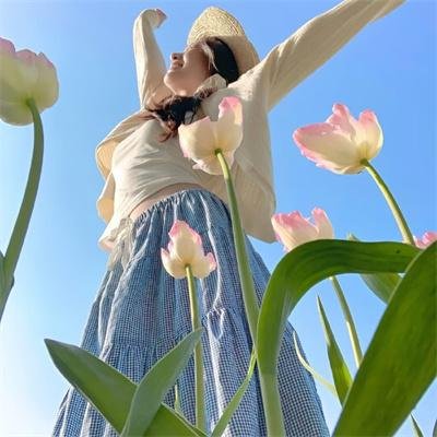 抵挡计划